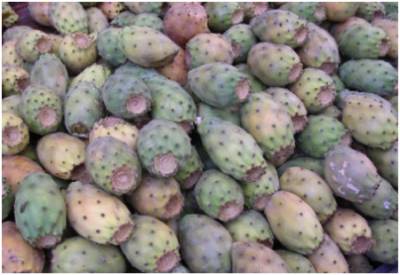 MA 2 EME SOLUTION ...